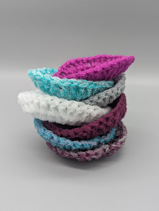 Dani's Dish Scrubbers