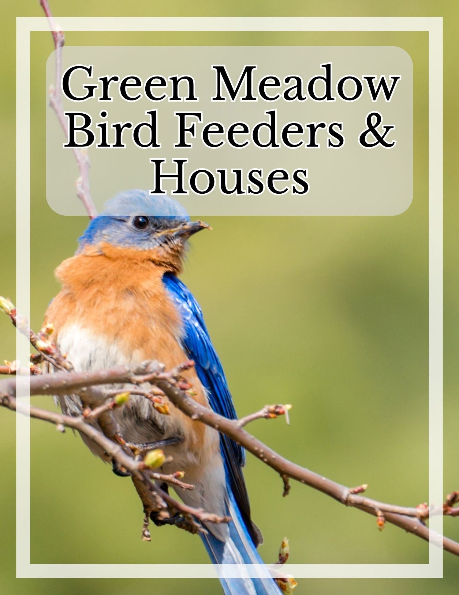 Green Meadow Bird Feeders and Houses
