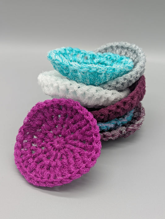 Dani's Dish Scrubbers